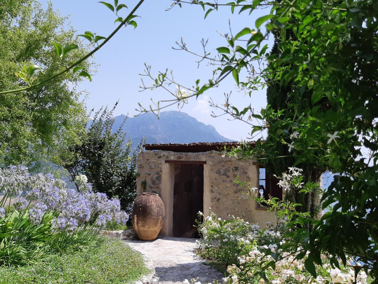 Eleanor' S Garden Otel Ravello Dış mekan fotoğraf